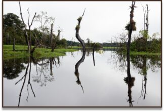 Geminus II, Riu Xeruã, Amazônia, Brasil