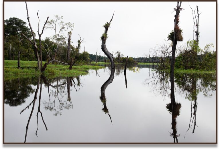 Geminus II, Riu Xeruã, Amazônia, Brasil