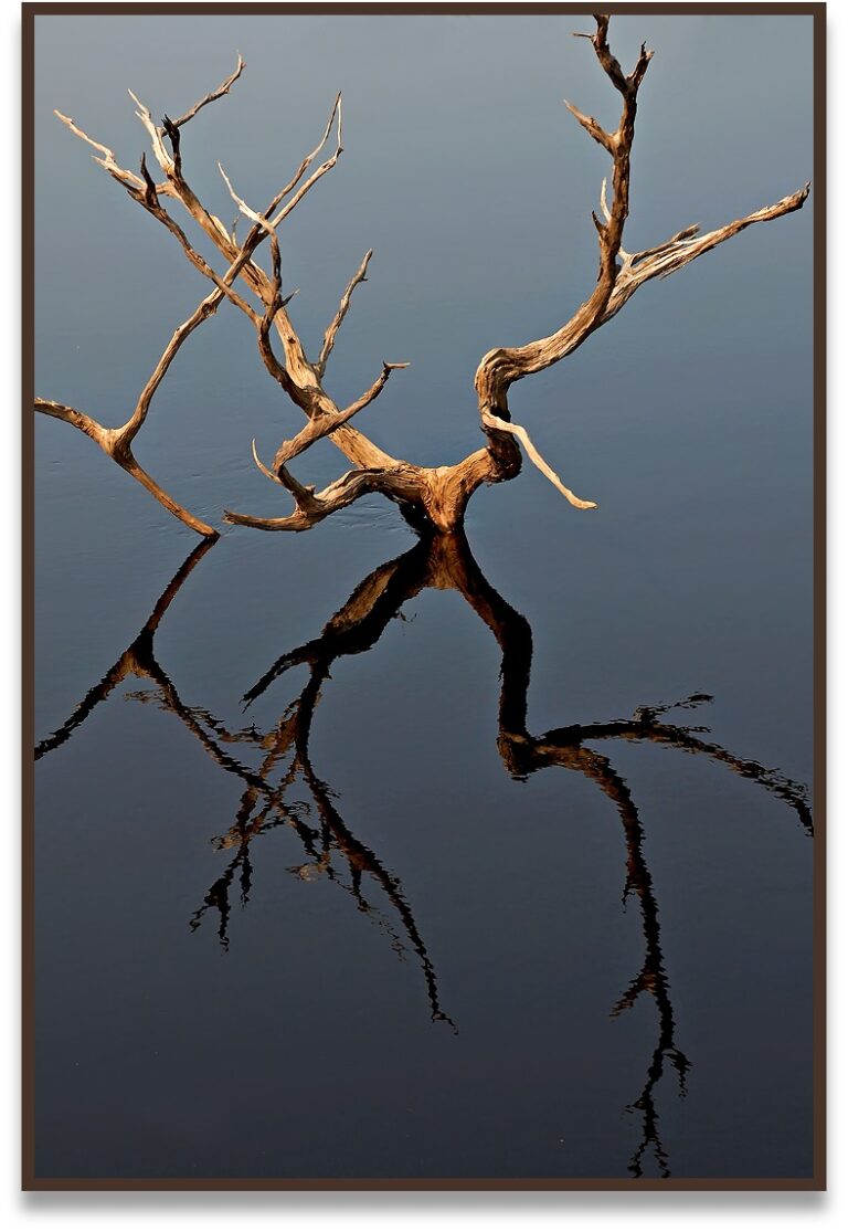 Geminus VIII, 2009, Rio Negro, Amazônia, Brasil