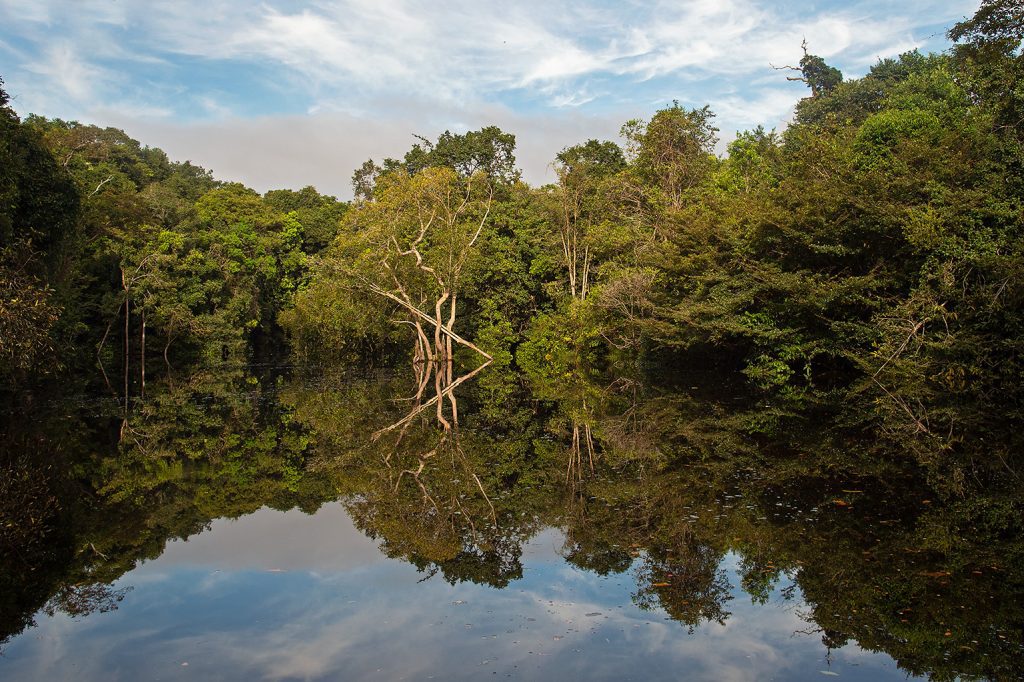 Quadro de Adriano Gambarini - Rio Negro, Amazonas