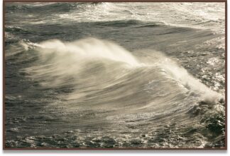 Prata Atlântica, 2020, Rio de Janeiro, Brasil