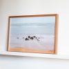Quadro Carol Vargas - Aracruz, ES