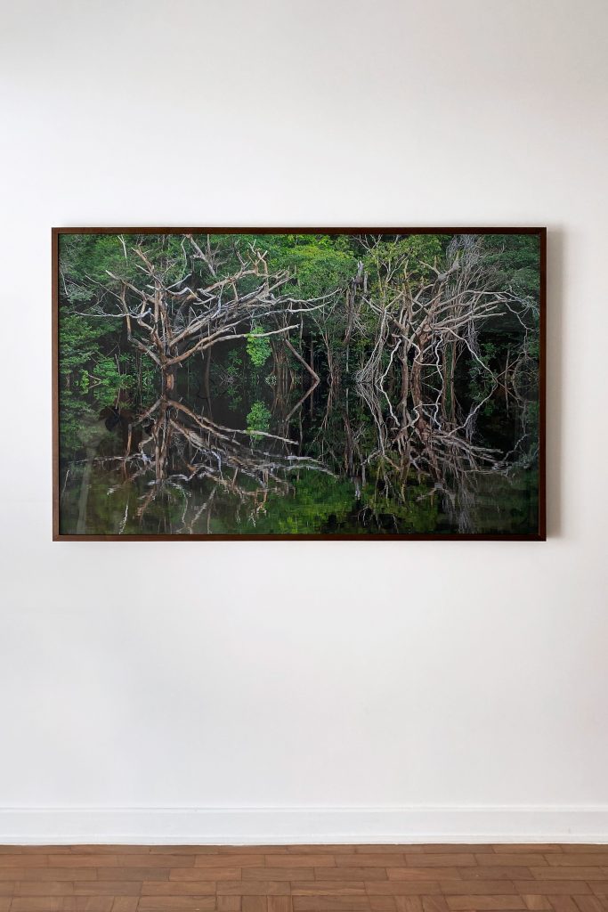 Quadro de Adriano Gambarini - Rio Negro, Amazônia