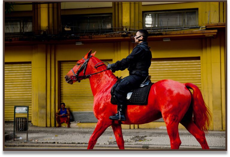 Palomo, 2012, Brasil