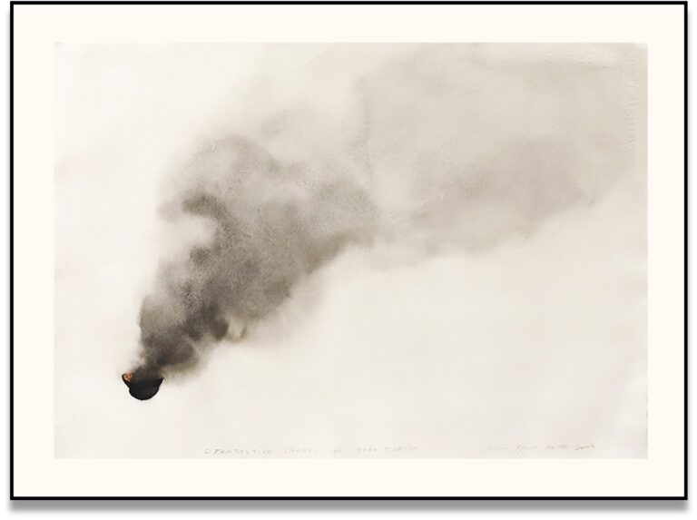 O Fantástico Chapéu de João Pedrosa, 2005